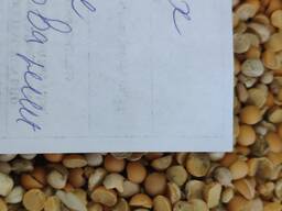 Продамо горох битий н/шлиф.