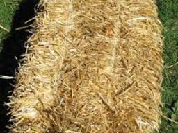 Хозяйство "Сено, Солома" реализует солому 2021 г. урожая!!!