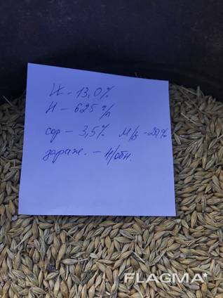 Хозяйтсво продаст ячмень