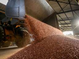 Гранульована мідь 99,9% / Copper Granules
