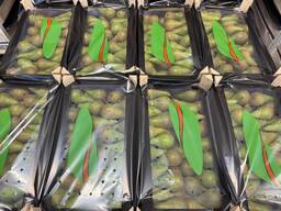 Груша «Conference»