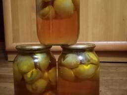 Гриб веселка