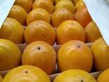 Хурма Узбекистан оптом - фото 1