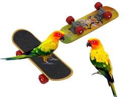 Игрушка для птиц, мини-скутер, обучение, скейтборд для попугая
