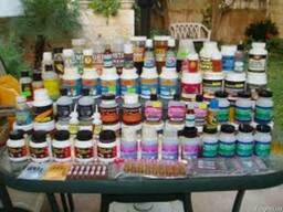 Индикаторы стерилизации