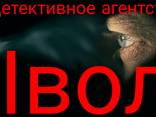 Выявление супружеской неверности.