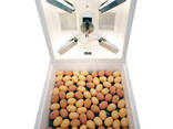 Инкубатор для яиц ручной на 80 яиц с мембранным терморегулятором - фото 2