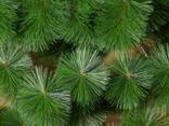 Искусственная сосна Микс зеленая 2.5 м - фото 1