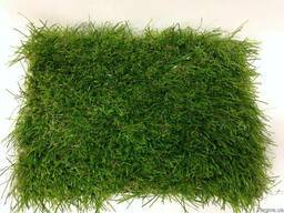 Искусственная трава для газона Yp-40 4 м