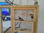 Изготовление клетки вольеры для декоративных птиц и др Ваших питомцев - фото 4