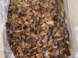 Ізюм, родзинка ( Індія)