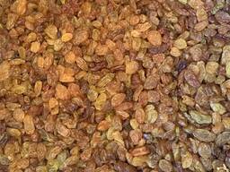 Ізюм Узбекистан