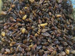 Изюм Афганистан