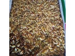 Изюм Дамский Пальчик Золотой