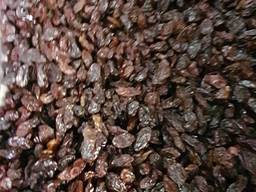 Изюм Индия Браун