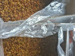 Изюм Малаер (Иран) КАШАНИ 20, лазерная очистка, цена с НДС