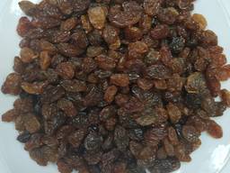 Новий урожай Изюм автоби