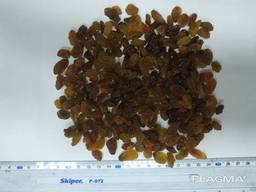 Изюм Индия С, А