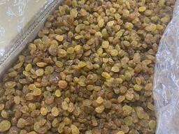 Изюм светлый Иран