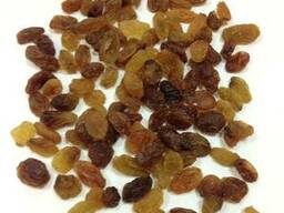 Изюм Турция султан type 8 Class 1