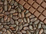 Какао-бобы сырые , какао крупка