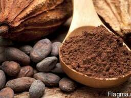 Какао порошок алкалізований Favorich