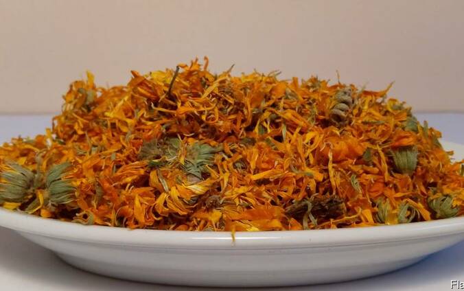 Календула(ноготки)