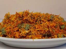 Календула(ноготки)