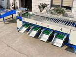 Калібратор для сортування/калібрування овочів, фруктів STvega Sorting H3000 - фото 1