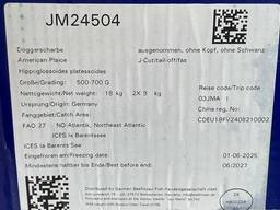 Камбала тушка 300-500 Германия