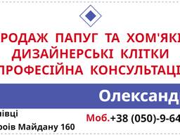 Канарки, Амадини, Декоративні голуби