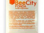 Канді підгодівля для бджіл BeeCity Fonda, 1 кг - фото 1