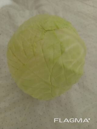 Капуста Агресор Сторідор