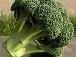 Капуста брокколи Монако F1 syngenta