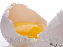 Каротиноиды Карофилл - для окрашивания желтков, тушки бройл