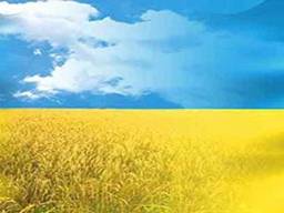 Карпаты на выходные из Киева, тур Закарпатье День независимости, туры Карпаты Киев