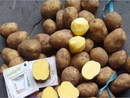 Картофель от производителя продам с овощехранилища