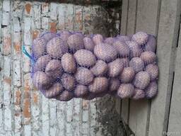 Картофель ( товарный и бюджет)