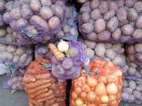 Овощи оптом:Картофель, Лук, морковь, буряк, капуста! - фото 1