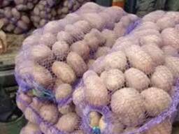 Картошка оптом, Прибалтика