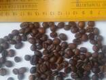 Кава (кофе) в зернах 1кг - фото 4