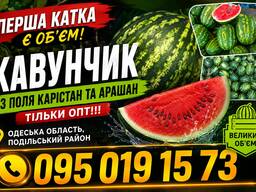 Кавун