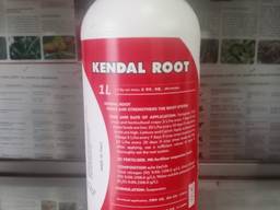 Кендал Рут/Kendal Root