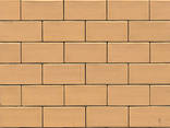 Керамічна фасадна цегла Терка, блоки Поротерм - фото 3