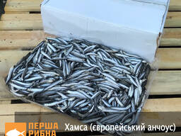 Хамса (європейський анчоус) (TUR)