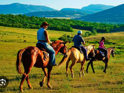 Кінні прогулянки в Карпатах — доторкнись до справжньої свободи!