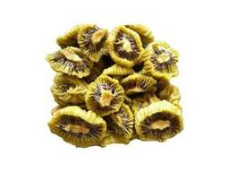 Киви сушеный под заказ