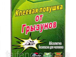 Клеевая ловушка от крыс и мышей Catch Expert Big