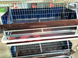 [ВИДЕО/ФОТО] Клетка 3-х ярусная клетка для кур, бройлеров - фото 2