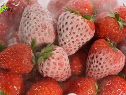 Клубника замороженная